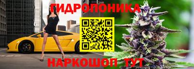 каннабис Кандалакша