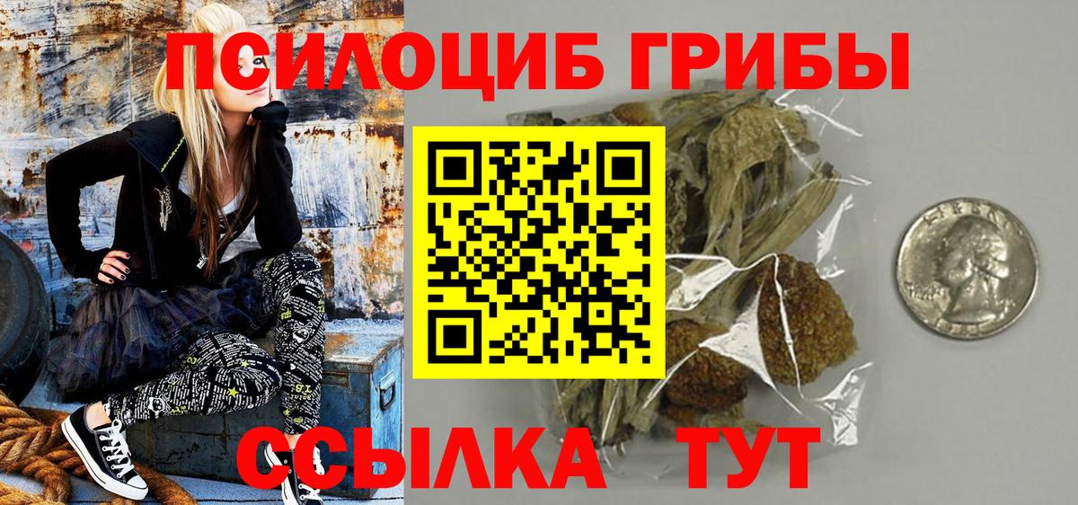 Псилоцибиновые грибы Psilocybe Тюмень