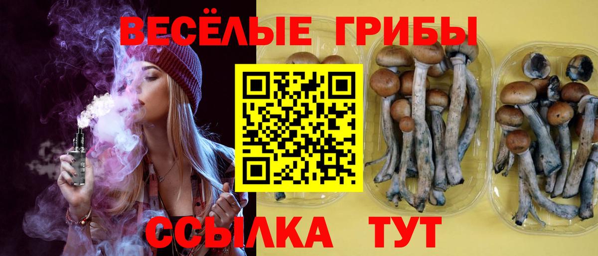 Псилоцибиновые грибы мухоморы  Псилоцибиновые грибы GOLDEN TEACHER  магазин продажи наркотиков  Вход с VPN  Тюмень 